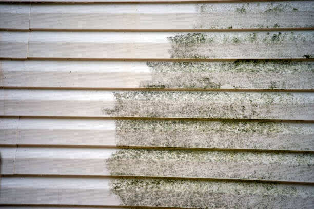 Affordable siding repair and maintenance services in Brookside, NJ